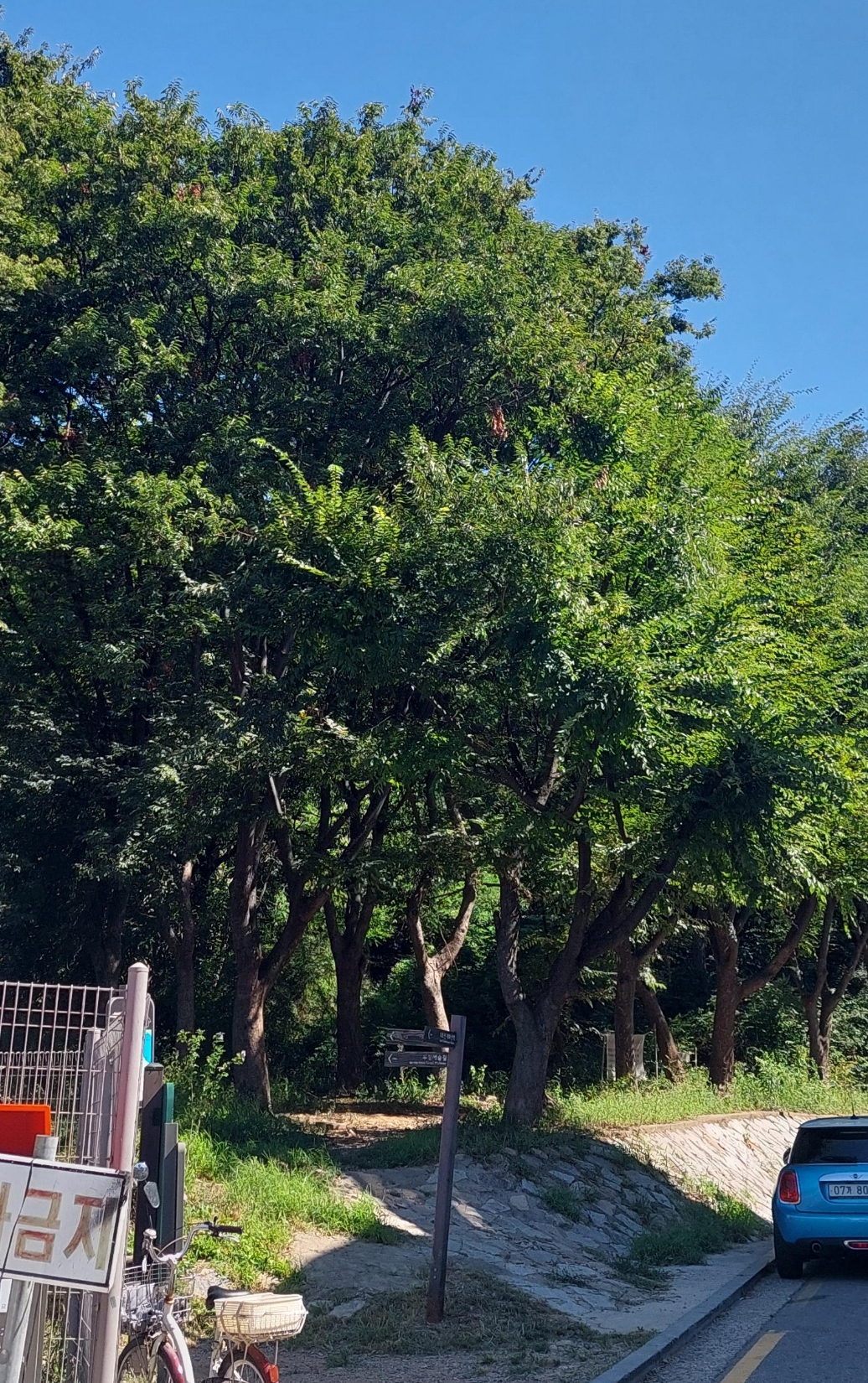 개화산