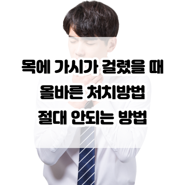 목에-걸렸을때-처치방법