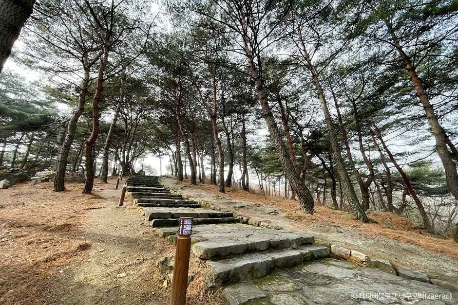 성주 가볼만한곳 베스트10