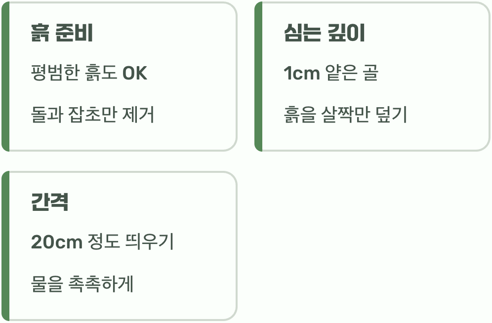흙과 씨앗의 첫 만남