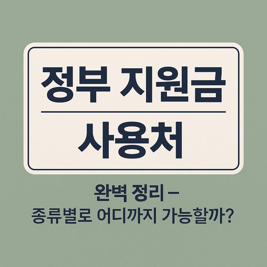 정부 지원금 사용처 완벽정리에 관한 사진 자료