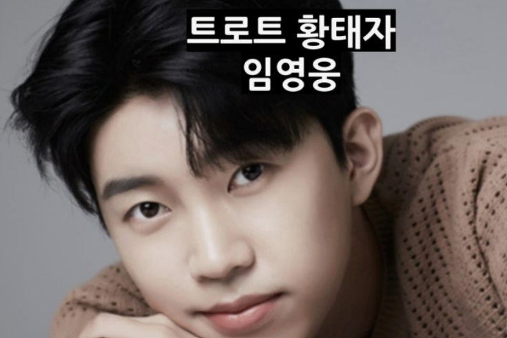 2026 임영웅 콘서트 일정 공개! NOL티켓 피켓팅 성공 꿀팁부터 고양종합운동장 주차 정보까지 총정리
