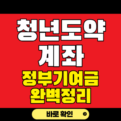 청년도약계좌 정부기여금
