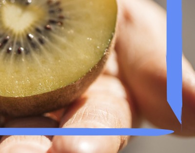 키위 효능 부작용