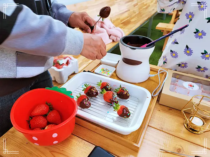 생방송오늘저녁 충주 금상 받은 딸기 전국 택배 주문 & 농장 체험 여행 가볼만한 곳 추천