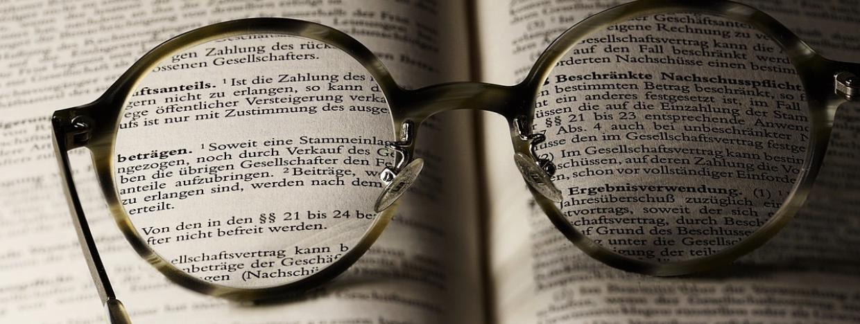 지적 자본 축적