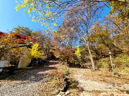 참 숯 바베큐, 용인 맛집, 고기리 맛집, 장작구이, 장작구이 통닭, 장작구이 삼겹살