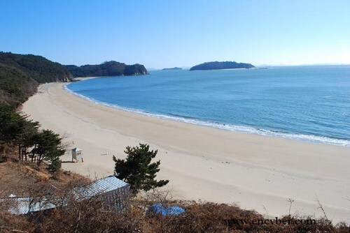 오늘N 2507회 촌집 전성시대 자월도 추천 여행지 및 배편 정보