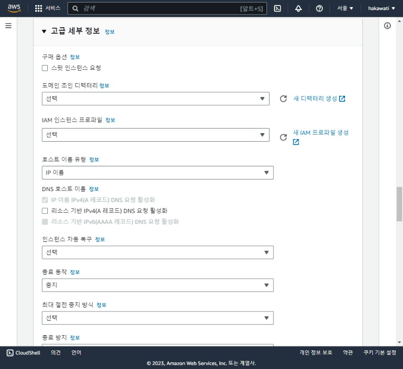 고급 세부 정보 화면