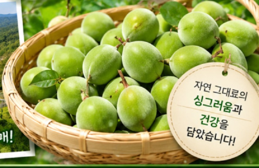 6시내고향-개복숭아
