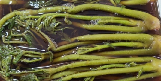 두릅 데치는 시간