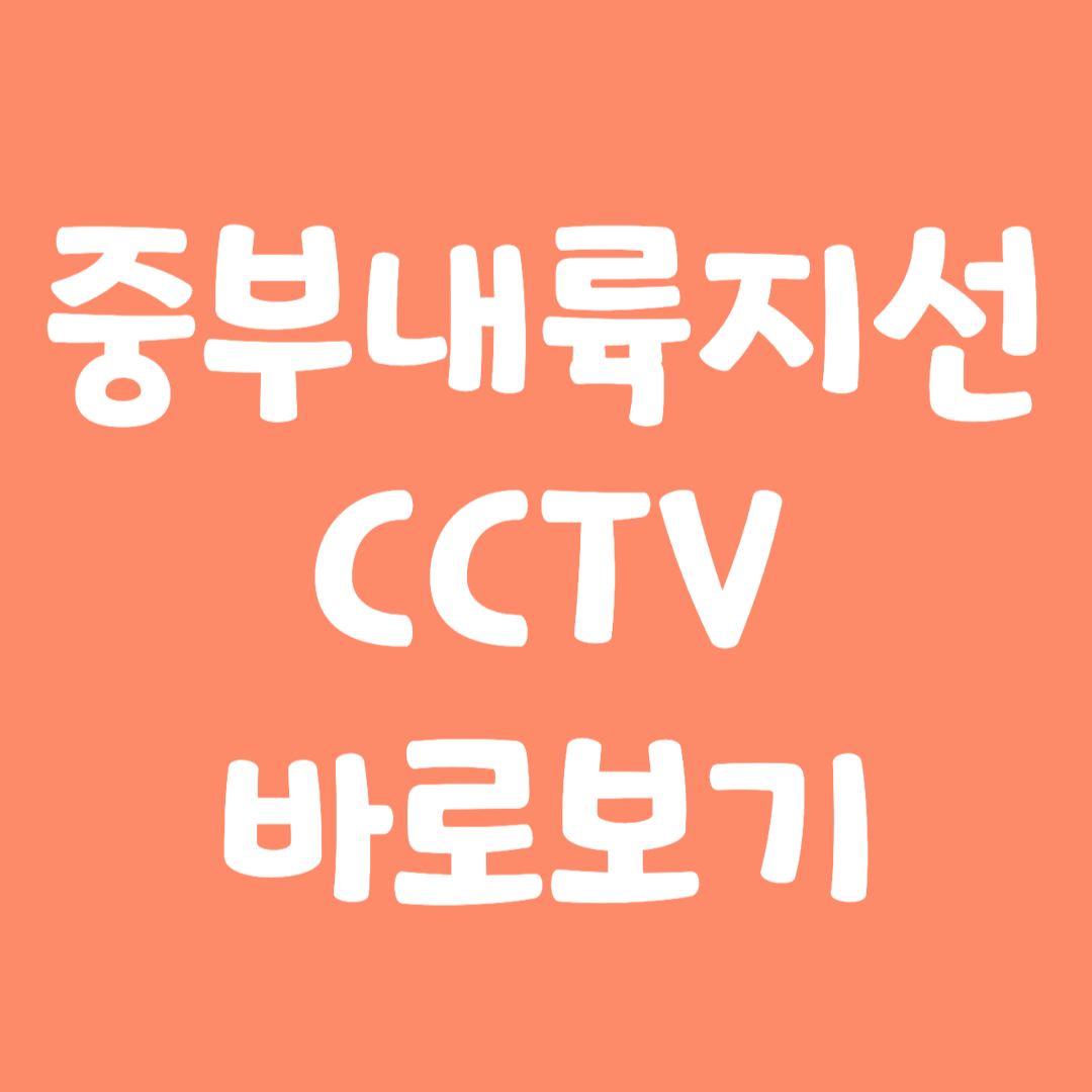 실시간 중부내륙지선 CCTV 바로보기