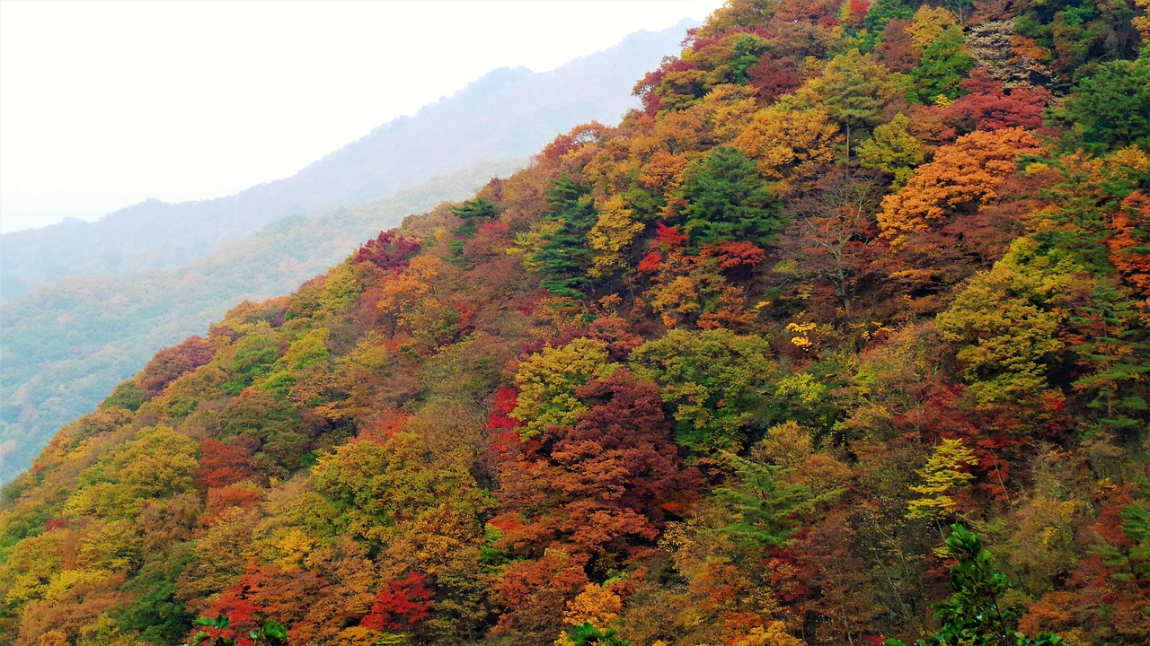 지리산 단풍