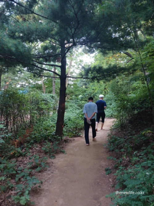 서울 맨발 걷기 좋은 곳- 서울 어린이대공원 숲속 흙길에서 맨발로 걷는 중년 남성 두 사람, 혈액순환과 건강 개선에 도움되는 모습