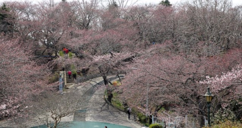 군산 선유도 공원