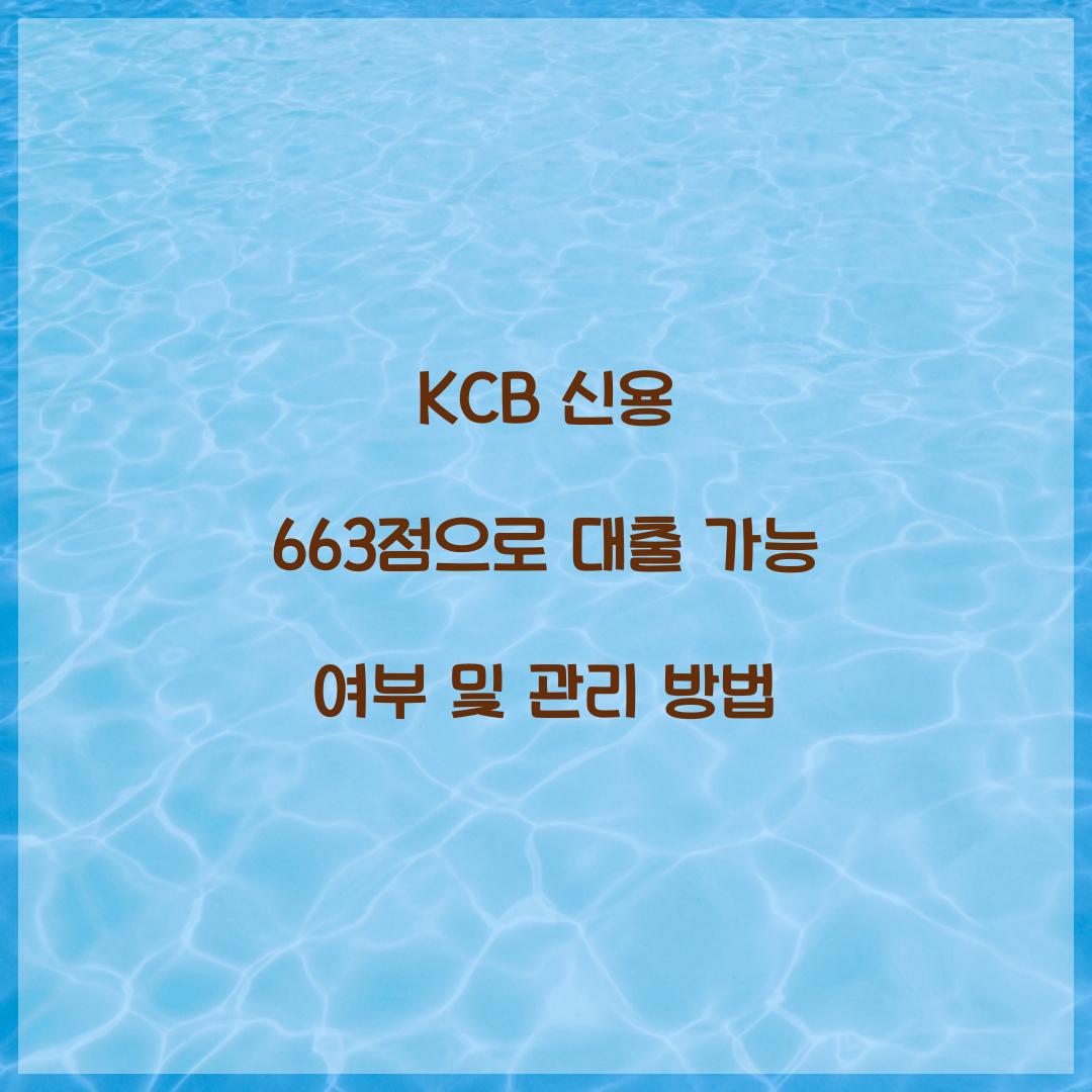 KCB 신용 663점