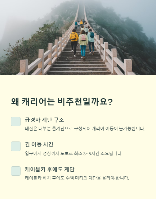 왜 캐리어는 비추천일까?
