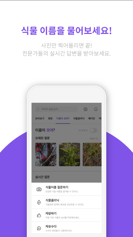 식물이름 찾기 어플, 식물 검색하고 찾기
