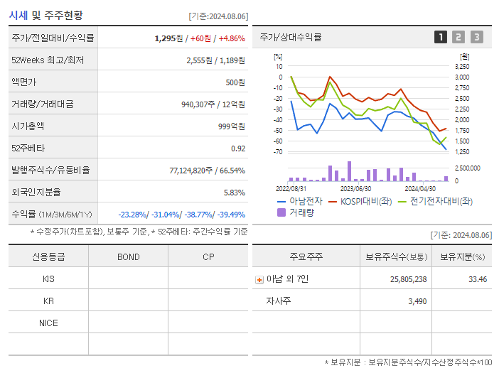 아남전자_기업개요