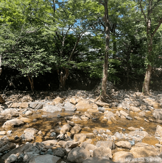 해남군 대둔사계곡