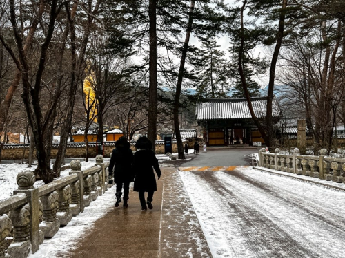 충북 겨울 명소 추천, 사찰·유적 산책 여행 BEST 4