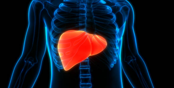 지방방원인,구분