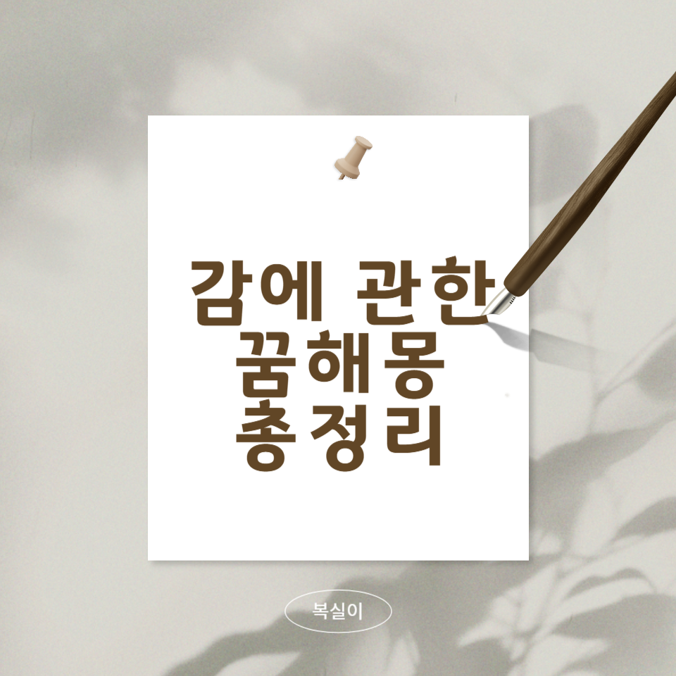 감에-관한-꿈-해몽-총-정리에-문구