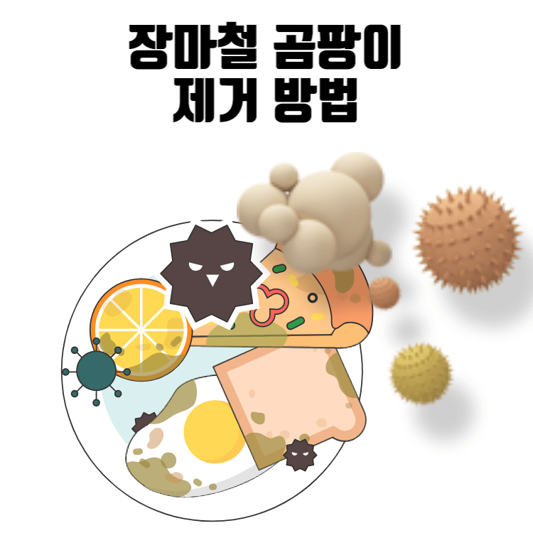 장마철 곰팡이 제거 방법
