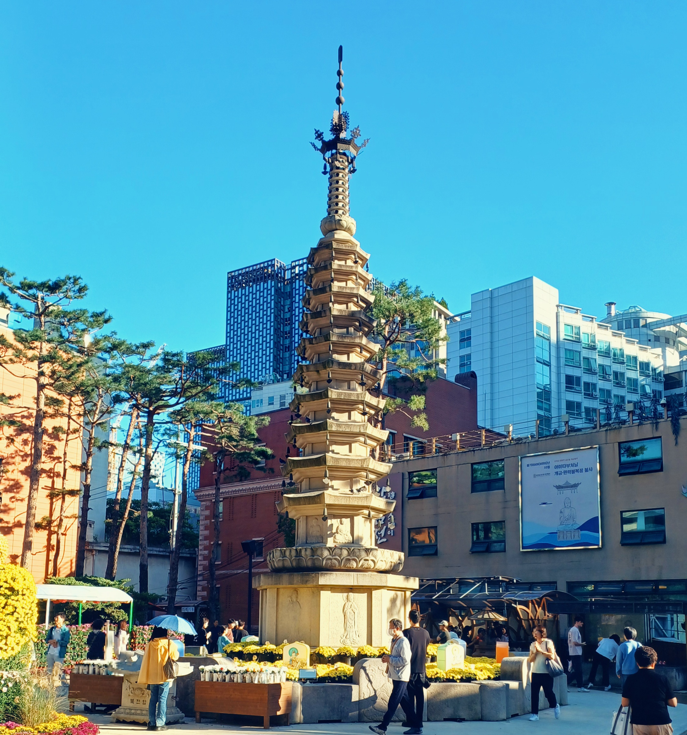 조계사-국화축제-12