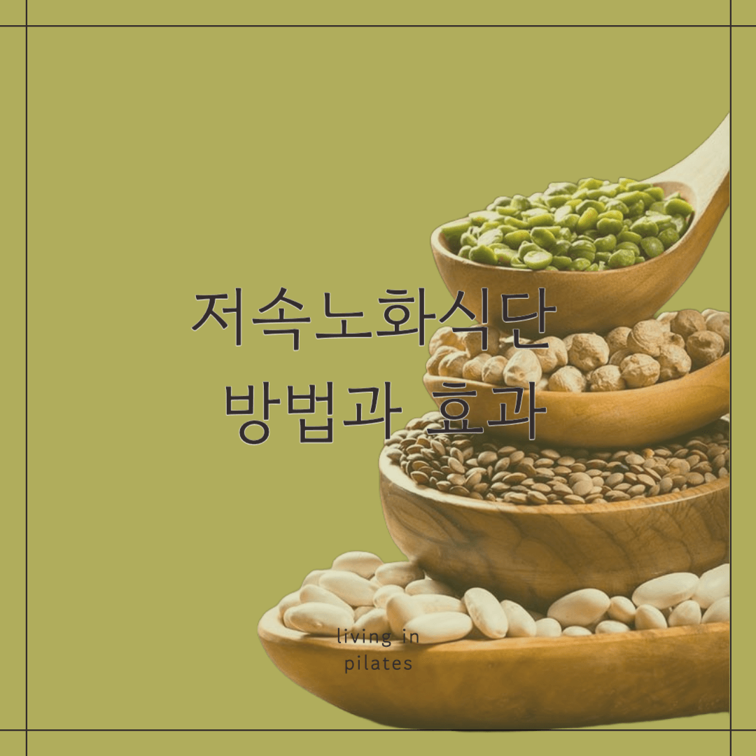 저속노화식단 방법과 효과