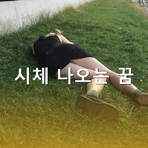 풀밭에-검으-원피스를-입은-여성이-쓰러져있는-모습