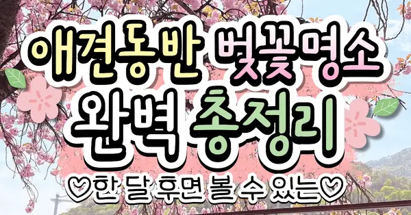반려견 벚꽃 드라이브 코스