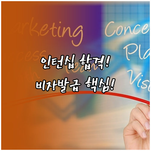 빈틈없는 해외 인턴십 서류 면접 비자..