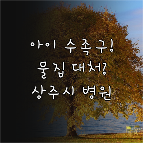 아이 수족구 열과 물집 대처 상주시 ..