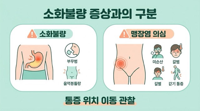 맹장염과 체한 증상 구별법 복통 위치 이동 식욕저하 구토