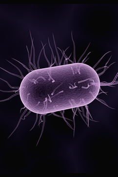 삼성 스마트폰 살균기 국내 출시 : 세균 99% 박멸