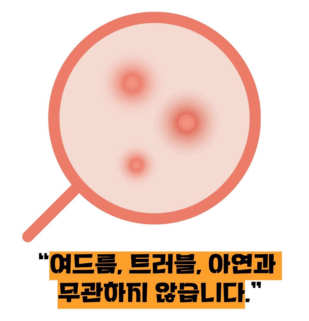 아연 효능
