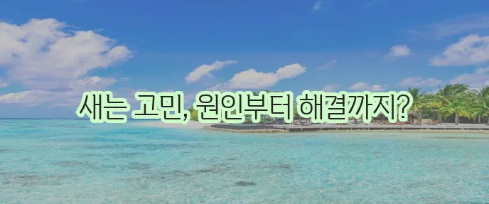 요실금 증상과 원인 그리고 치료방법을 꼼꼼히 알아봅시다!