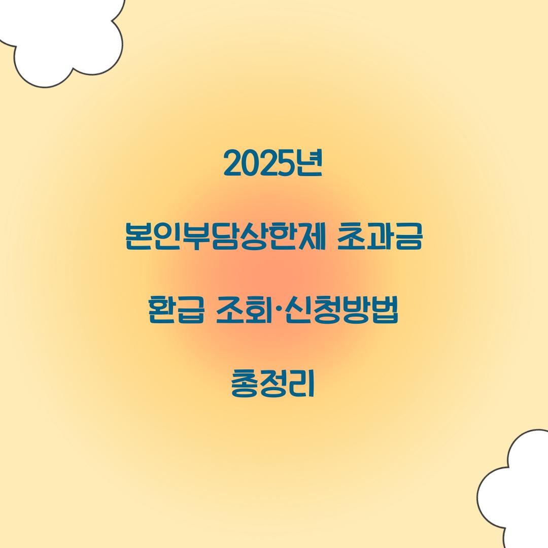 2025년 본인부담상한제 초과금 환급