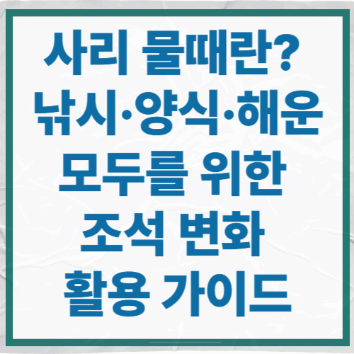 사리 물때란? 낚시&middot;양식&middot;해운 모두를 위한 조석 변화 활용 가이드