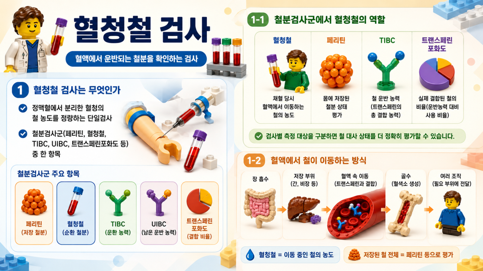 혈청철 검사의 정의와 철분검사군에서 혈청철, 페리틴, TIBC, 트랜스페린포화도의 역할 및 철 이동 과정을 비교한 레고 스타일 메디컬 인포그래픽