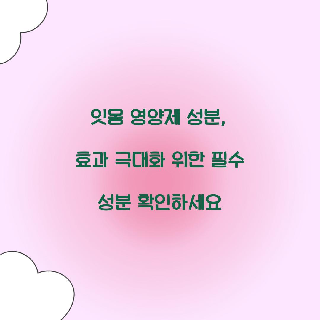 잇몸 영양제 성분