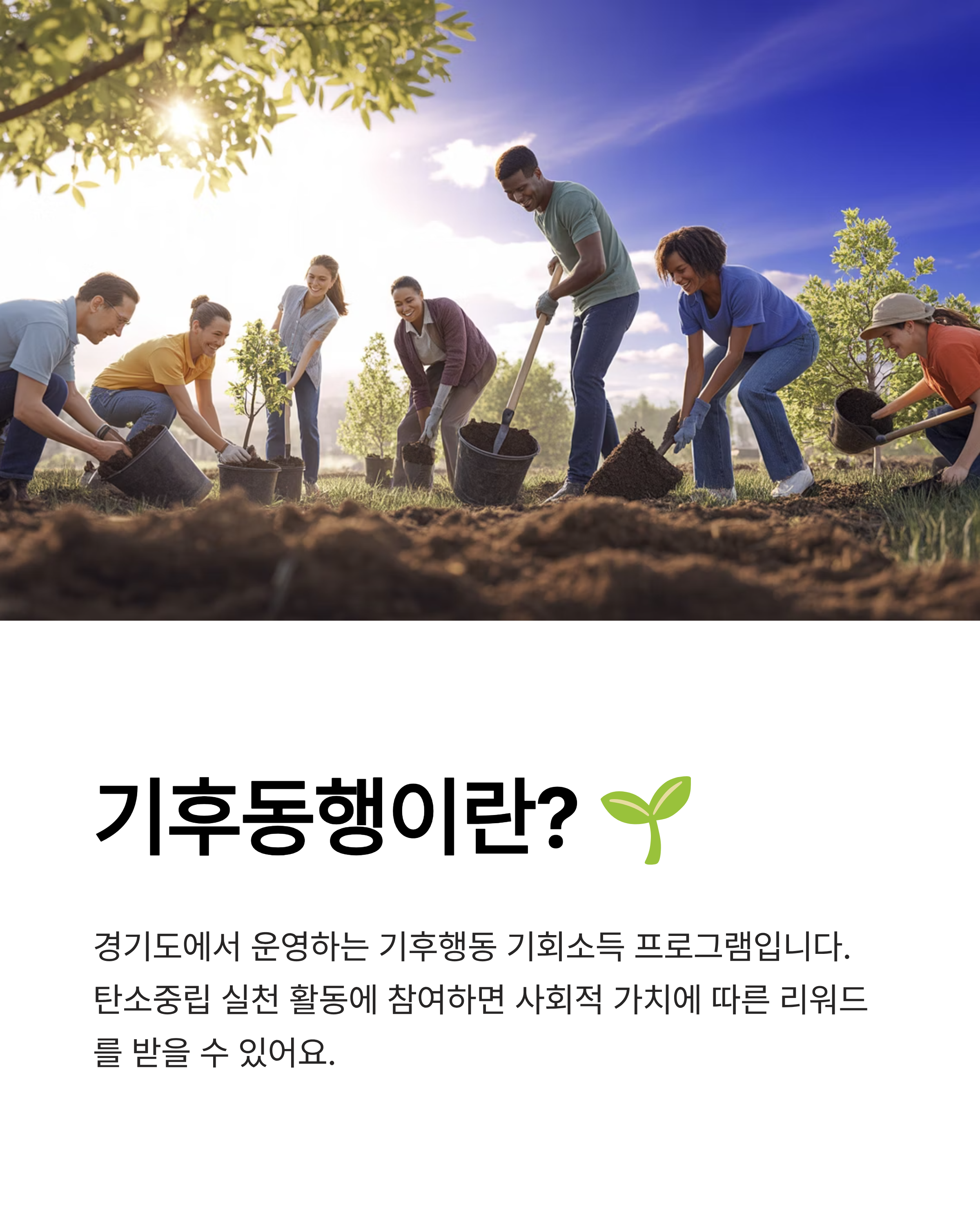 11월 16일 기후동행 퀴즈 정답