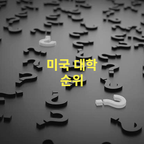 미국 대학 순위