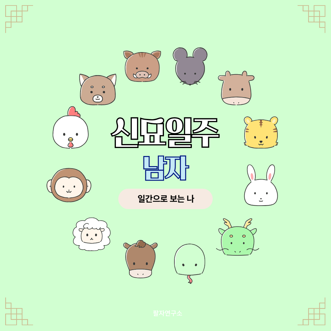 신묘일주 남자 – 성격, 인생 흐름, 연애, 유명인