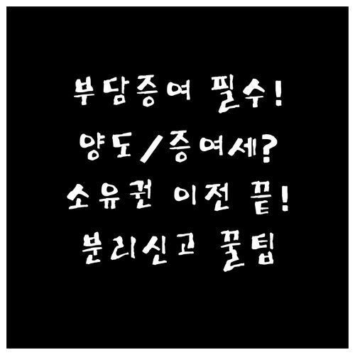 부담부증여 소유권 이전 절차: 양도소..