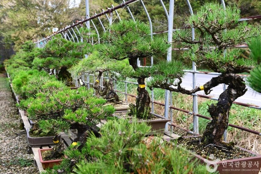 순창 가볼만한곳 베스트 10