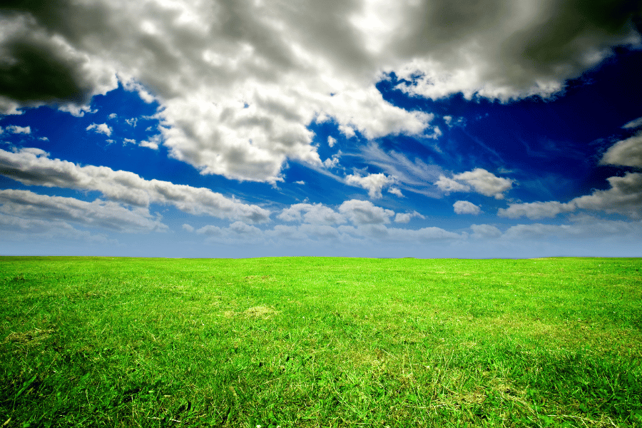 냄새 여행 - 숲향기&middot;꽃향기&middot;흙냄새