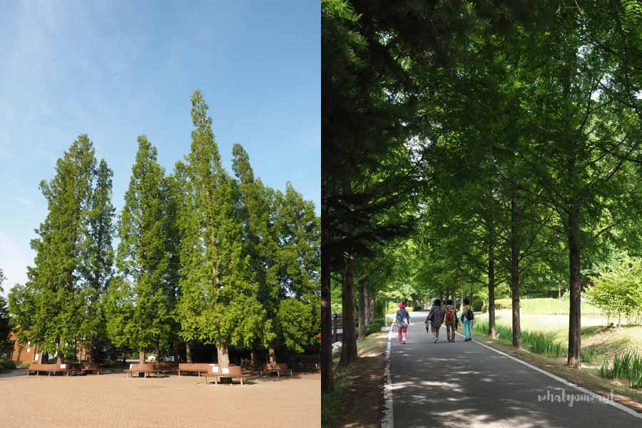 물향기수목원의 풍경