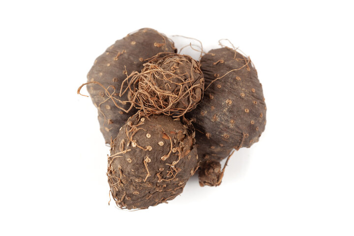 하늘마 효능 11가지 총정리